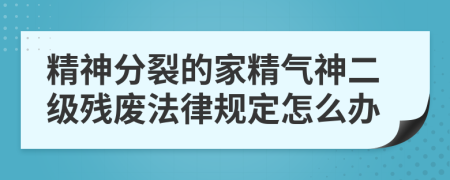 精神分裂的家精氣神二級殘廢法律規(guī)定怎么辦