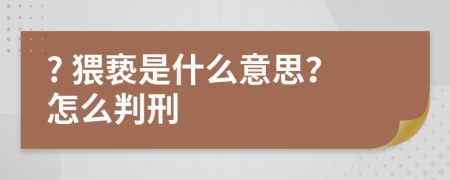 ? 猥褻是什么意思？怎么判刑