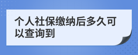 個人社保繳納后多久可以查詢到