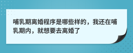 哺乳期離婚程序是哪些樣的，我還在哺乳期內(nèi)，就想要去離婚了