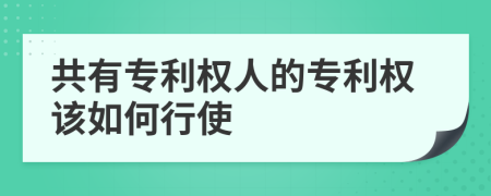 共有專利權人的專利權該如何行使