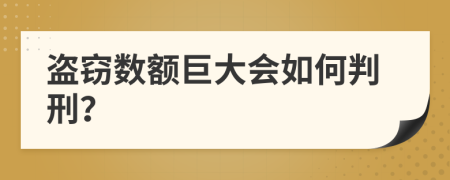 盜竊數(shù)額巨大會(huì)如何判刑？