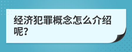 經(jīng)濟犯罪概念怎么介紹呢？