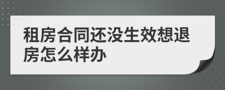 租房合同還沒生效想退房怎么樣辦