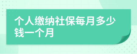 個(gè)人繳納社保每月多少錢(qián)一個(gè)月