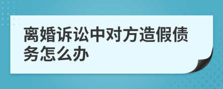 離婚訴訟中對(duì)方造假債務(wù)怎么辦