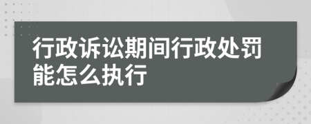 行政訴訟期間行政處罰能怎么執(zhí)行