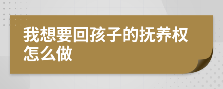 我想要回孩子的撫養(yǎng)權怎么做