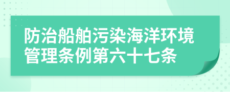 防治船舶污染海洋環(huán)境管理?xiàng)l例第六十七條