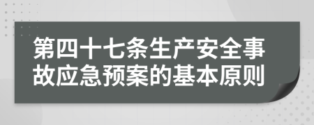 第四十七條生產(chǎn)安全事故應急預案的基本原則
