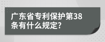 廣東省專利保護(hù)第38條有什么規(guī)定?