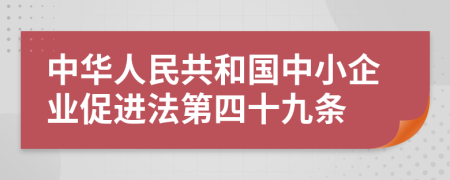 中華人民共和國中小企業(yè)促進法第四十九條