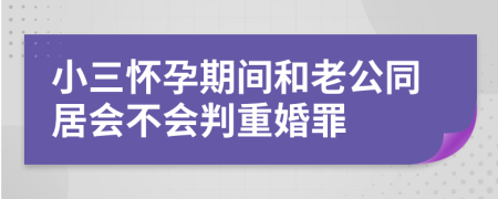 小三懷孕期間和老公同居會不會判重婚罪