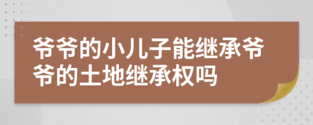 爺爺?shù)男鹤幽芾^承爺爺?shù)耐恋乩^承權(quán)嗎