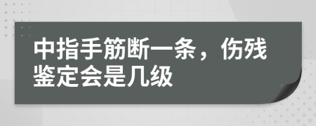 中指手筋斷一條，傷殘鑒定會是幾級