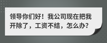 領導你們好！我公司現(xiàn)在把我開除了，工資不結(jié)，怎么辦？
