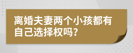 離婚夫妻兩個(gè)小孩都有自己選擇權(quán)嗎？