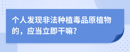 個(gè)人發(fā)現(xiàn)非法種植毒品原植物的，應(yīng)當(dāng)立即干嘛？