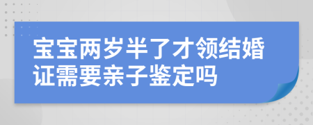 寶寶兩歲半了才領結婚證需要親子鑒定嗎