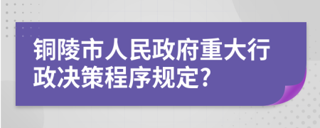 銅陵市人民政府重大行政決策程序規(guī)定?