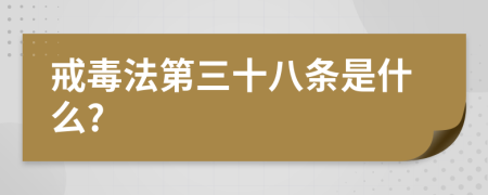 戒毒法第三十八條是什么?