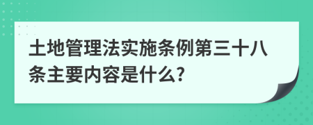 土地管理法實施條例第三十八條主要內(nèi)容是什么?