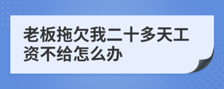 老板拖欠我二十多天工資不給怎么辦
