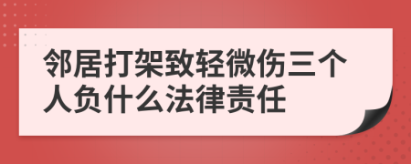 鄰居打架致輕微傷三個人負(fù)什么法律責(zé)任