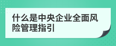 什么是中央企業(yè)全面風(fēng)險(xiǎn)管理指引