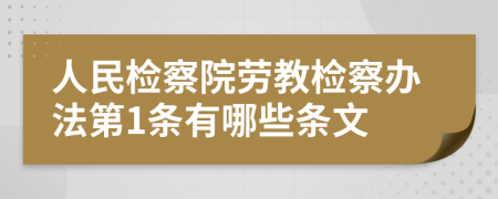 人民檢察院勞教檢察辦法第1條有哪些條文