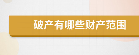 破產(chǎn)有哪些財(cái)產(chǎn)范圍