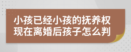 小孩已經(jīng)小孩的撫養(yǎng)權(quán)現(xiàn)在離婚后孩子怎么判