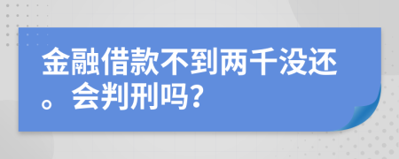 金融借款不到兩千沒(méi)還。會(huì)判刑嗎？