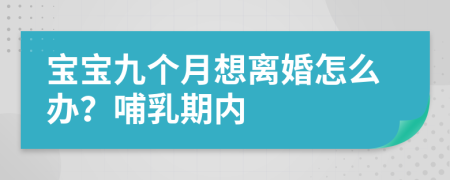 寶寶九個(gè)月想離婚怎么辦？哺乳期內(nèi)