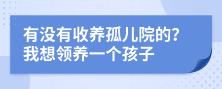 有沒有收養(yǎng)孤兒院的？我想領(lǐng)養(yǎng)一個孩子
