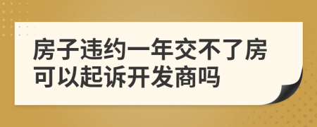 房子違約一年交不了房可以起訴開發(fā)商嗎
