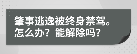 肇事逃逸被終身禁駕。怎么辦？能解除嗎？