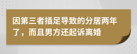 因第三者插足導(dǎo)致的分居兩年了，而且男方還起訴離婚
