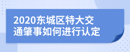 2020東城區(qū)特大交通肇事如何進行認定