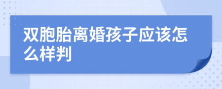 雙胞胎離婚孩子應(yīng)該怎么樣判