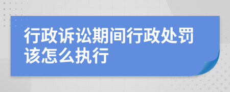 行政訴訟期間行政處罰該怎么執(zhí)行