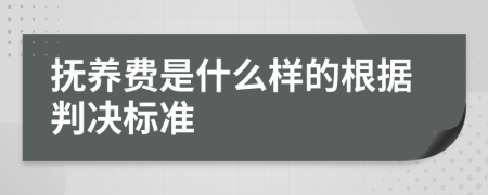 撫養(yǎng)費是什么樣的根據(jù)判決標準