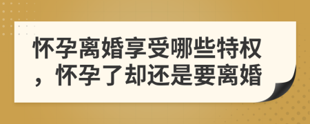 懷孕離婚享受哪些特權(quán)，懷孕了卻還是要離婚