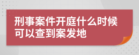 刑事案件開庭什么時候可以查到案發(fā)地