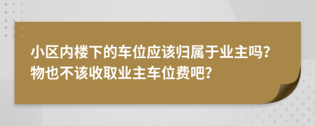 小區(qū)內樓下的車位應該歸屬于業(yè)主嗎？物也不該收取業(yè)主車位費吧？