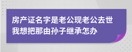 房產(chǎn)證名字是老公現(xiàn)老公去世我想把那由孫子繼承怎辦