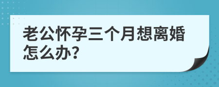老公懷孕三個(gè)月想離婚怎么辦？