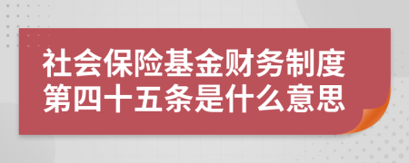 社會保險基金財務(wù)制度第四十五條是什么意思