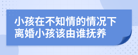 小孩在不知情的情況下離婚小孩該由誰撫養(yǎng)