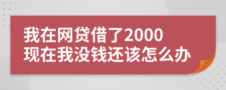 我在網(wǎng)貸借了2000現(xiàn)在我沒錢還該怎么辦